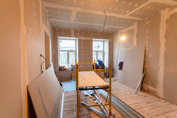 Best Fire-Damaged Drywall Repair  in Remsen, IA